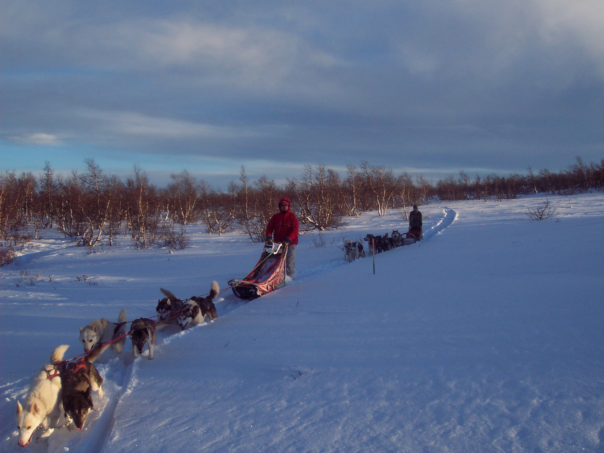 Schweden02.JPG (2032 x 1524)